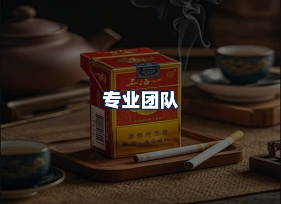 专业团队